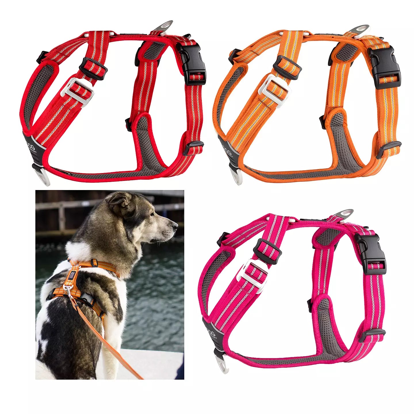 Dog Copenhagen Comfort Walk Air Harness