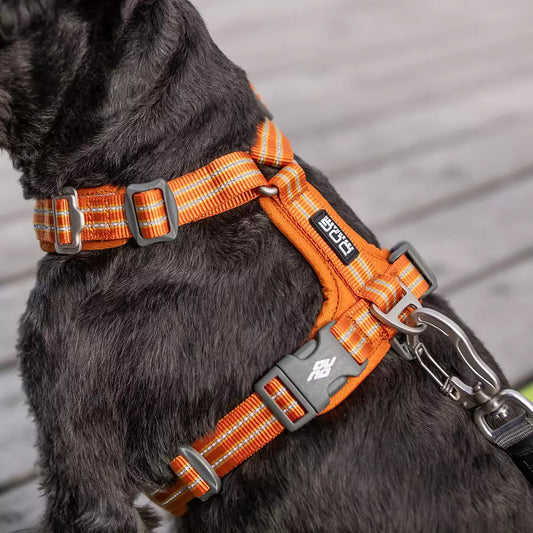 Dog Copenhagen Comfort Walk Air Harness