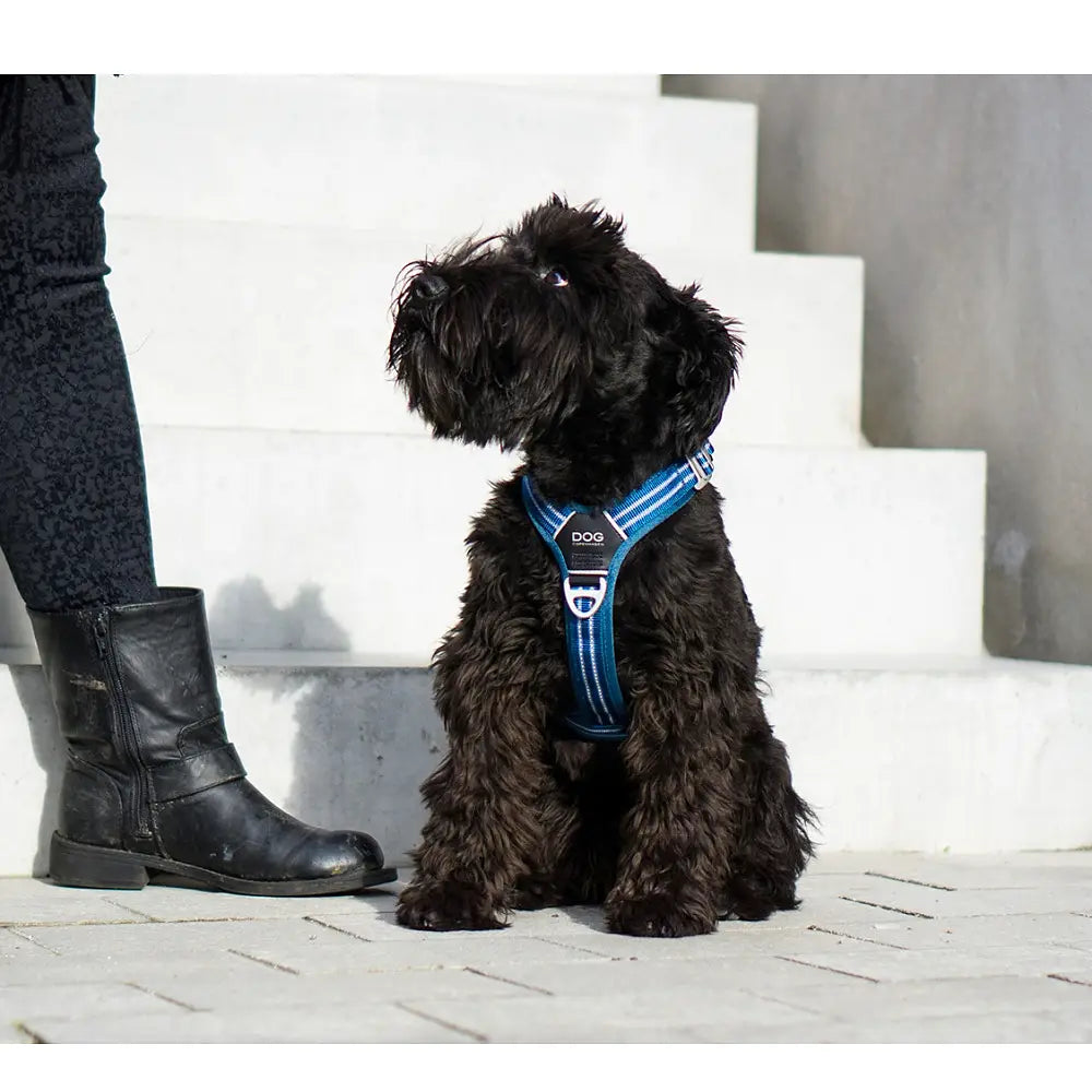 Dog Copenhagen Comfort Walk Air Harness
