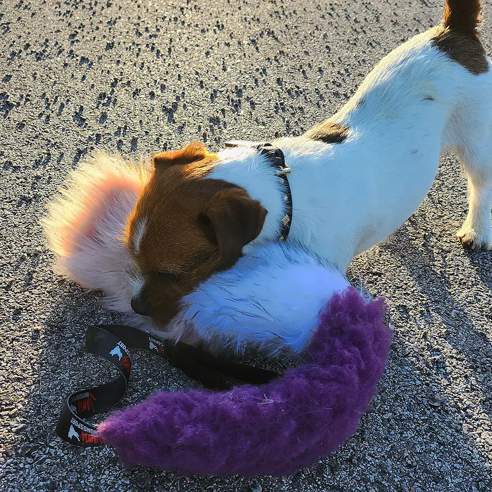 Lealösa toy