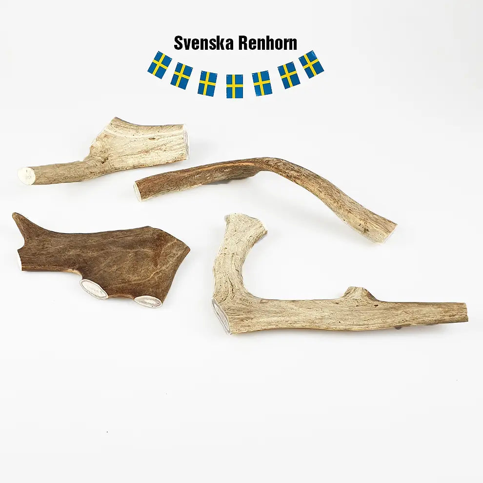 Reindeer antler
